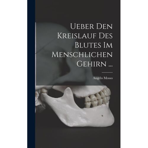 Ueber Den Kreislauf Des Blutes Im Menschlichen Gehirn ...
