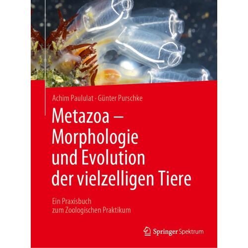 Metazoa - Morphologie Und Evolution Der Vielzelligen Tiere