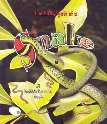 Snake