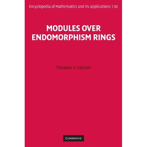Modules Over Endomorphism Rings