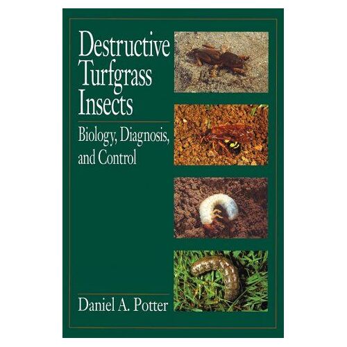 Destructive Turfgrass Insects