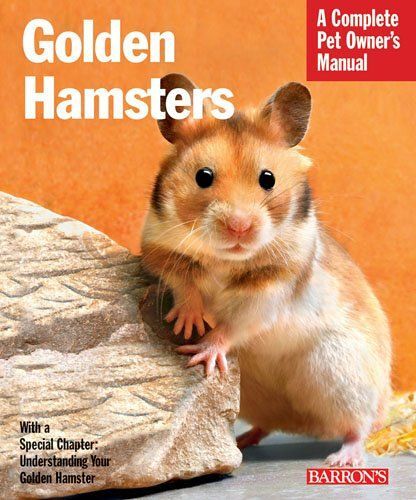 Golden Hamsters