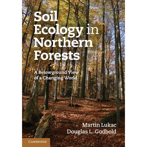 Soil Ecology In Northern Forests