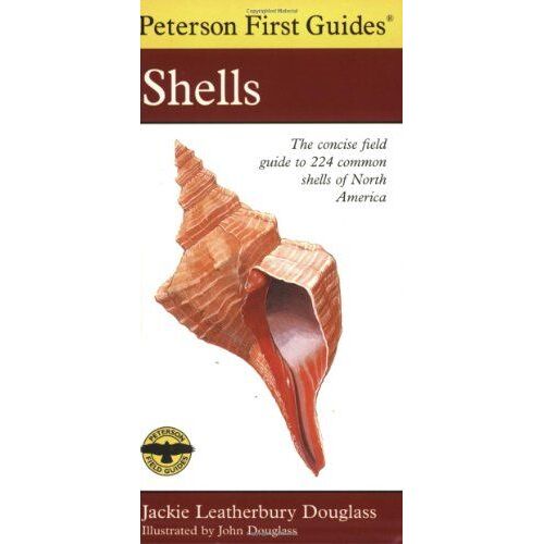 Shells Of North America
