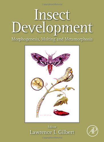 Insect Development: Morphogenesis, Molting And Metamorphosis