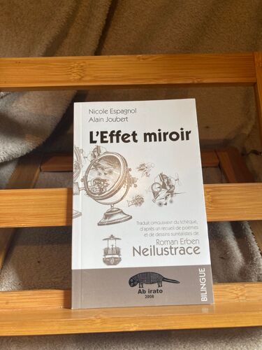Nicole Espagnol Alain Joubert L'effet Miroir Neilustrace Ed. Ab Irato 2008