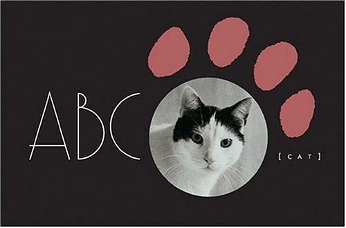 Abc Cat
