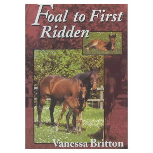Foal To First Ridden