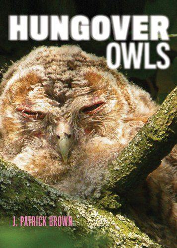 Hungover Owls