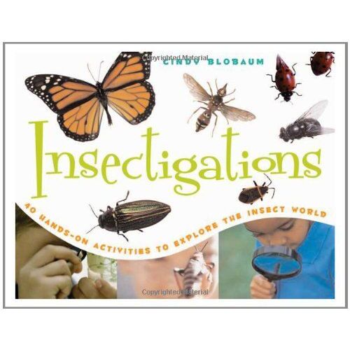 Insectigations