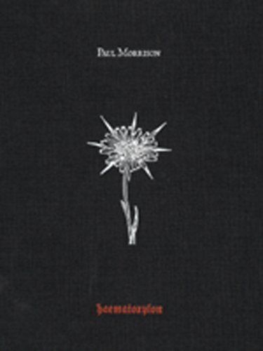 Paul Morrison: Haematoxylon