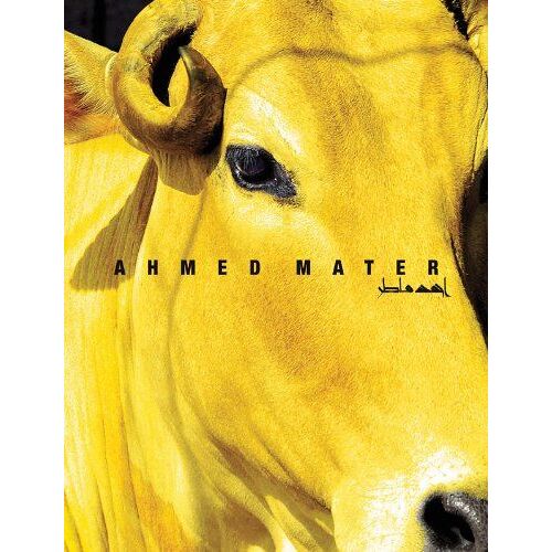 Ahmed Mater