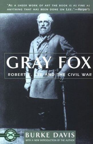 Gray Fox