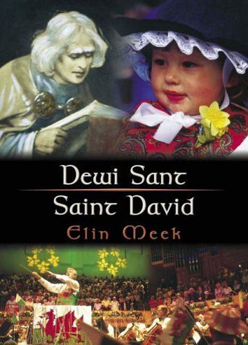 Dewi Sant