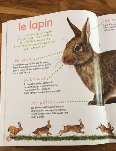 Wakou N°144 - Vivre Dans Un Arbre