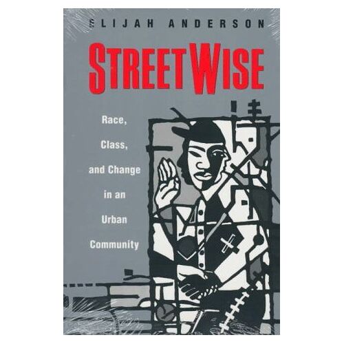Streetwise : Race, Class, And Change In An Urban Community