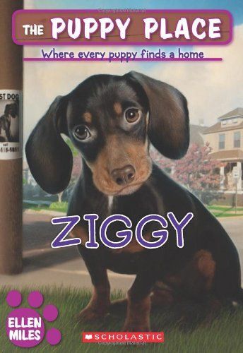 Ziggy (The Puppy Place #21)
