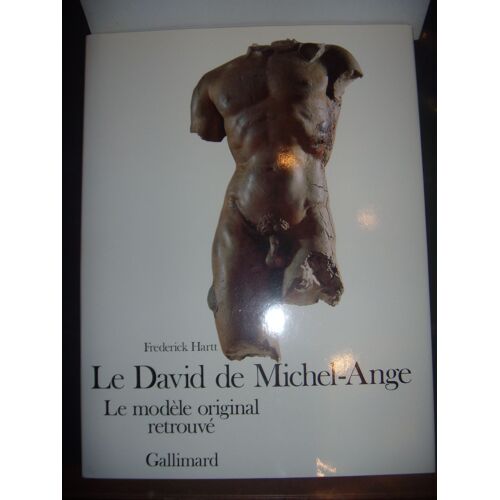 Le David De Michel-Ange : Le Modèle Original Retrouvé - 1988