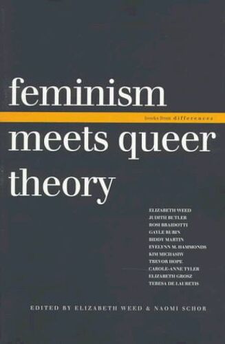 Feminism Meets Queer Theory