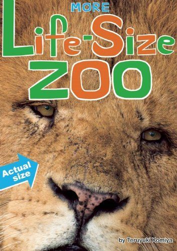 More Life-Size Zoo: Lion, Hippopotamus, Polar Bear And More--An All New Actual-Size Animal Encyclopedia