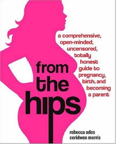 From The Hips: A Comprehensive, Open-Minded, Uncensored, Totally Honest Guide To Pregnancy, Birth, And Becoming A Parent