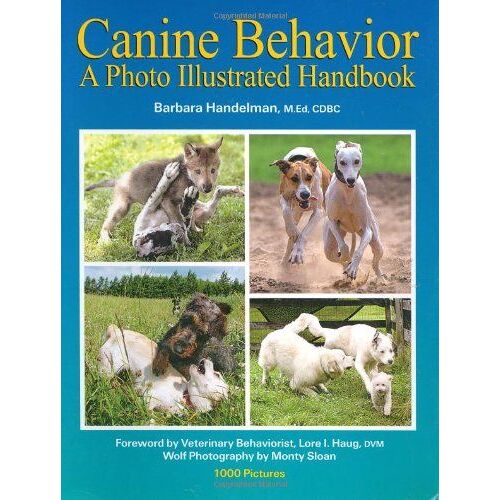 Canine Behavior