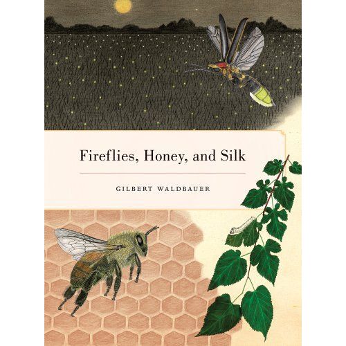 Fireflies, Honey, And Silk