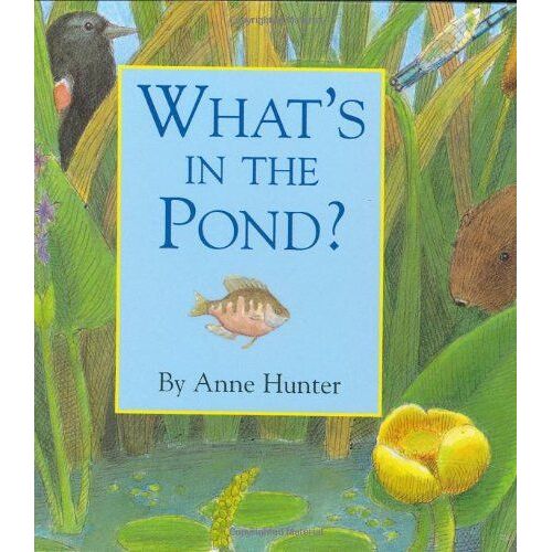 What's In The Pond?