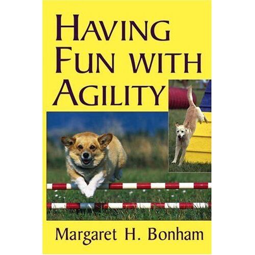 Having Fun With Agility