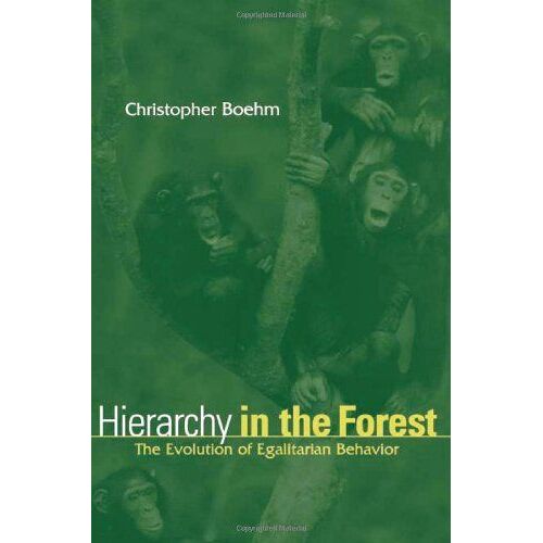Hierarchy In The Forest