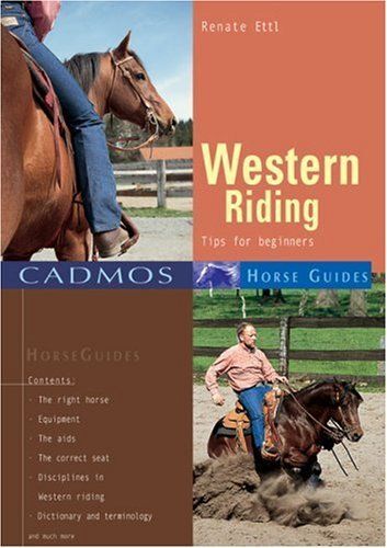 Western Riding: Tips For Beginners
