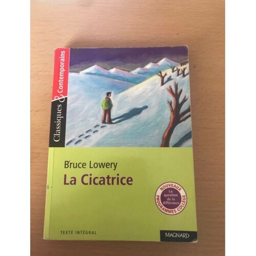 La Cicatrice De Bruce Lowery 