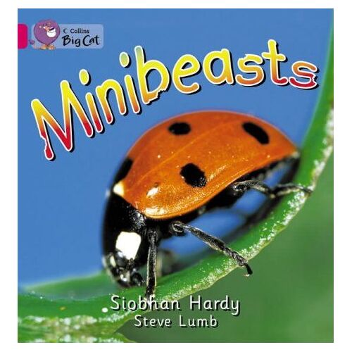 Minibeasts