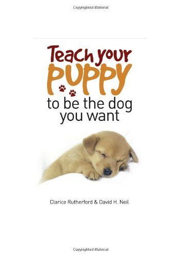 Teach Your Puppy To Be The Dog You Want