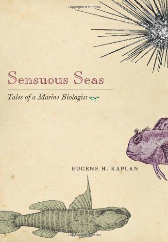 Sensuous Seas