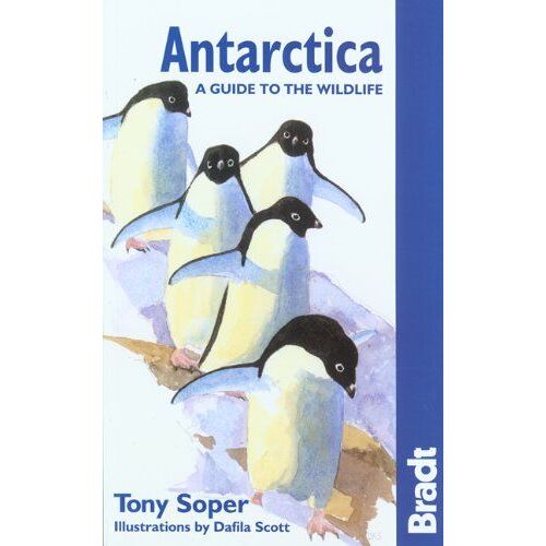 Antarctica Wildlife