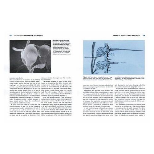 Animals Physiology - Adaptation And Environment - 5th Edition