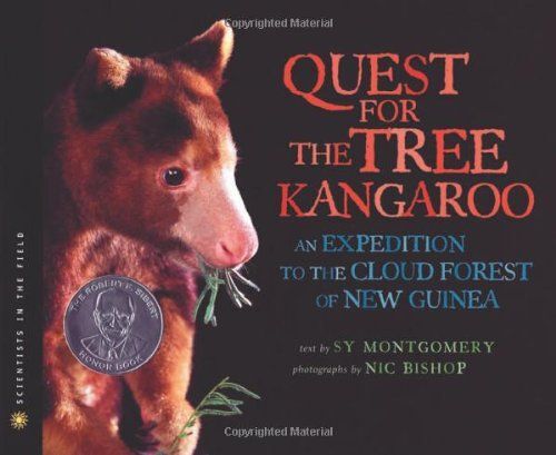 Quest For The Tree Kangaroo: An Expedition To The Cloud Forest Of New Guinea