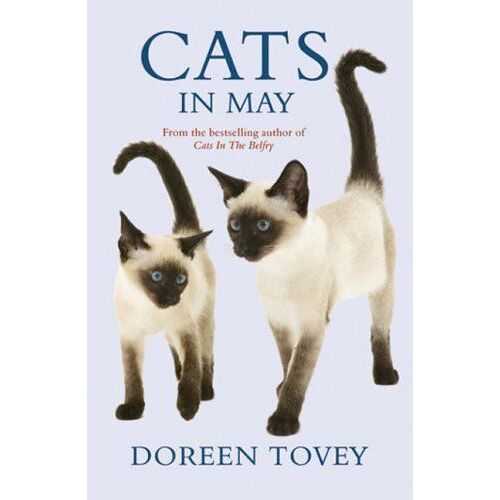 Cats In May