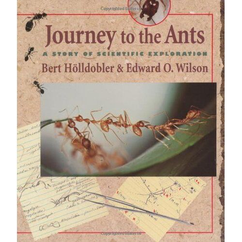 Journey To The Ants