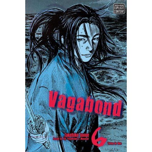 Vagabond (Vizbig Edition), Vol. 6