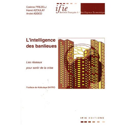 L'intelligence Des Banlieues - Les Réseaux Pour Sortir De La Crise