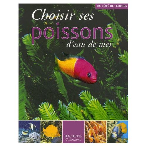 Choisir Ses Poissons D'eau De Mer
