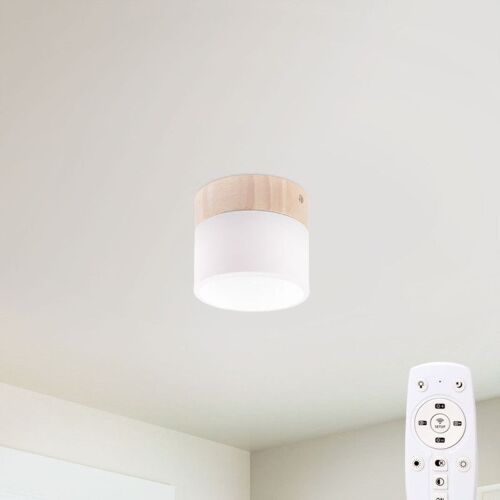 Plafonnier Led 9w 852lm Télécommande (Intensité-Cct) 10 000h [Ho-Cct-Dl9w]