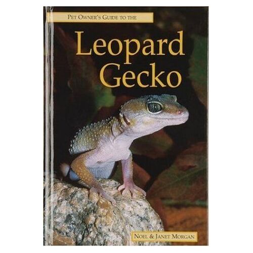 Pet Owner's Guide To The Leopard Gecko