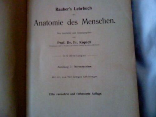 Lehrbuch Der Anatomie Abteilung 5/Nervenssystem - Xi. Auflage