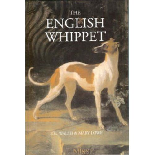 The English Whippet