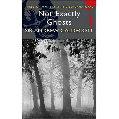 Not Exactly Ghosts: And Fires Burn Blue