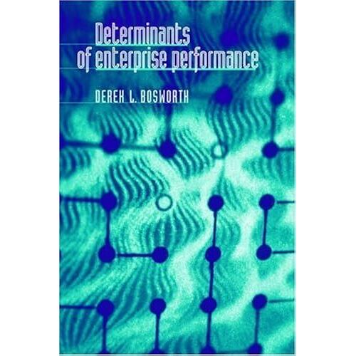 Determinants Of Enterprise Performance