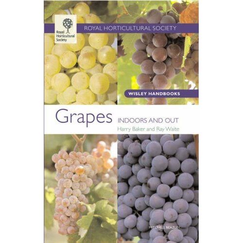 Grapes: Indoors And Out